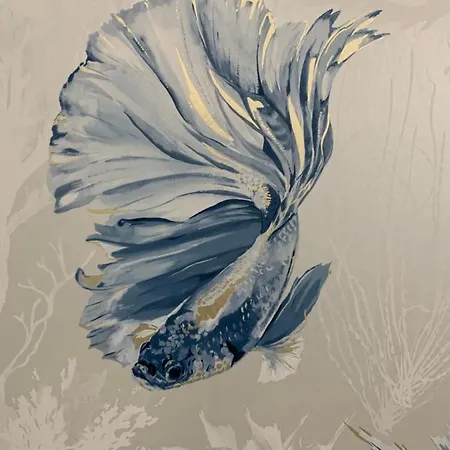 Acquamarina Marina di San Vito