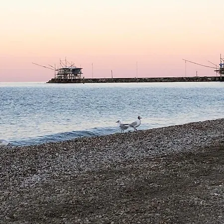 Acquamarina Hébergement de vacances Marina di San Vito