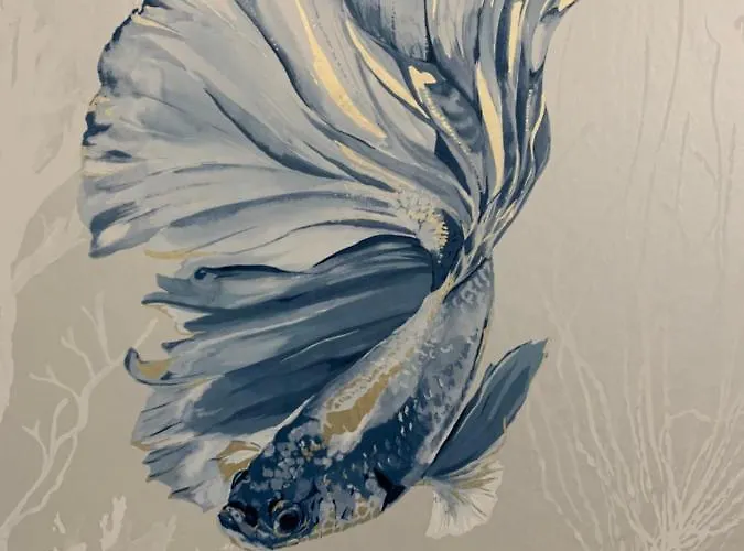 Acquamarina Marina di San Vito